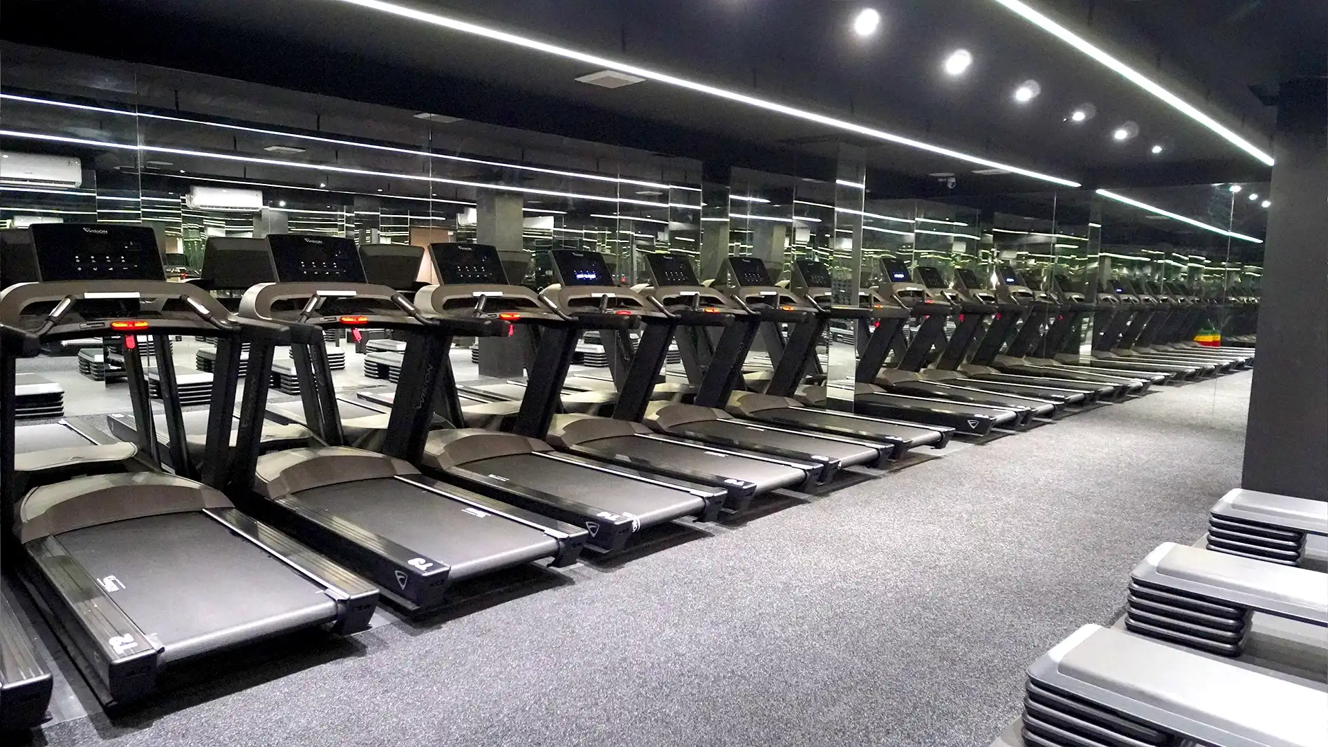 DRYP Gym